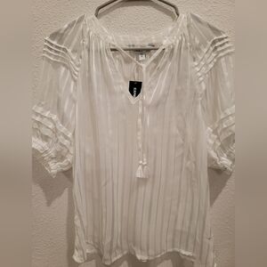 Express Sheer Blouse
